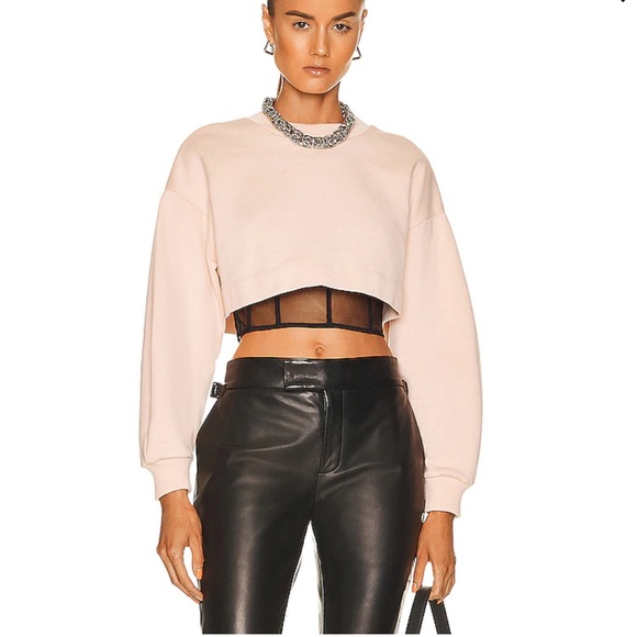 Alexander McQueen Tops - Alexander McQueen Cropped Sweatshirt in Tea Rose